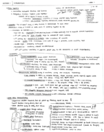 BIOL 2500 Week 1 Notes