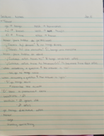 Elementary Spanish 001