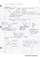 Functional Anatomy 161B: WEEK 1 NOTES