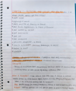 FSHD Week 1: Chapter 1 Notes
