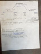 General Biology 2: week 1 notes