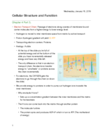 Chapter 4 Part 3 BSC Week 2