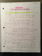 FIN 3244 Week 1 Notes