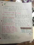 Philosophy notes week 3