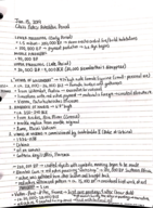 Art History: Class Notes: Week 1