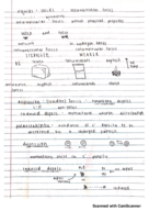 Chemistry 212 Notes