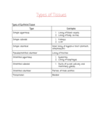 Types of Tissues and The Integumentary System- Exercises 5 and 6