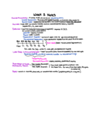 BA 315 Week 3 Notes