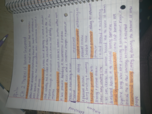 Developmental Psychology 2400