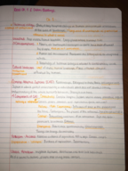 ARCH 2800 Chapter 2
