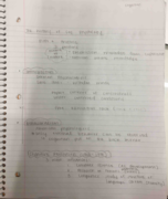 Cognition week 1 notes