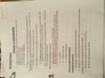 Typed study guide and hand notes 