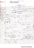 Anatomy Week 1 Notes