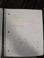 Phil 1020 Week 2 Notes