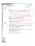 Basic Chem Notes.(Week 1&2)