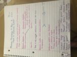 Endocrine System