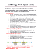 Cell Biology: Week 2 Notes