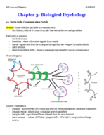 Chapter 3 Notes