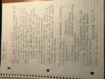 week two; the basics 