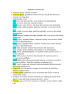 Chapter 13 Endocrine System Notes