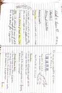 Week 4 Notes