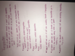 week 2 notes