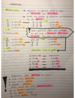 Intensive Elementary Spanish 1012