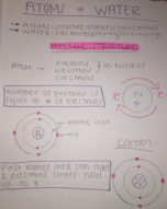 Biology 1306