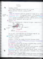 Bio 100 Week 2 class notes
