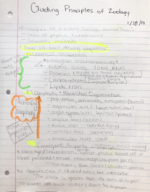 Week One Zoology Notes