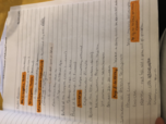 Child psychology 