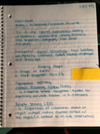 Week 1 Notes