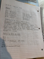 Spanish 250, Week 4