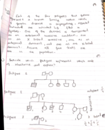 Week 3 notes