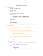 anatomy week 3 lecture notes