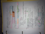 BIOL 151 - CELL JUNCTIONS 