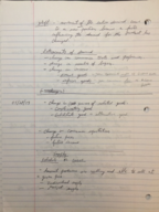 Macro notes week 3