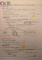 BIOL151 - CH. 10
