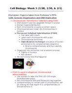 Cell Biology Notes: Week 3