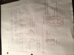 Bio 110 