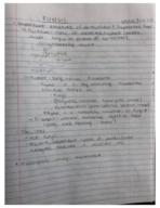 Week 4 Notes
