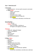 Topic 6 - Unikont Diversity III