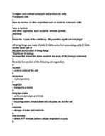 BIO151 Cells