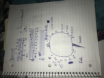 Major, Minor, and Note Identification 