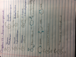 Exam 2 Prep 1