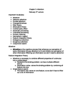 Chapter 5: Attention. Feb 5th Lecture