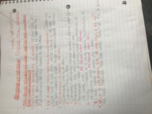 Philosophy Study Guide