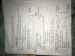 Unit 3: Back and Upper Limbs