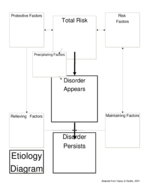 Models for Anxiety Disorders