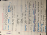 Business Administration 202